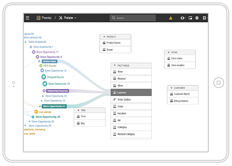 Schema van Infor Data Lake.