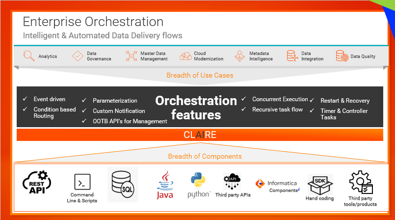 Schema van Informatica Data Quality Platform.