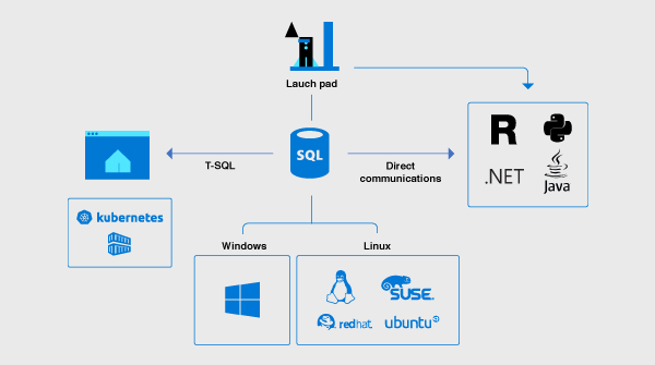 Afbeelding van Microsoft SQL Server tools.