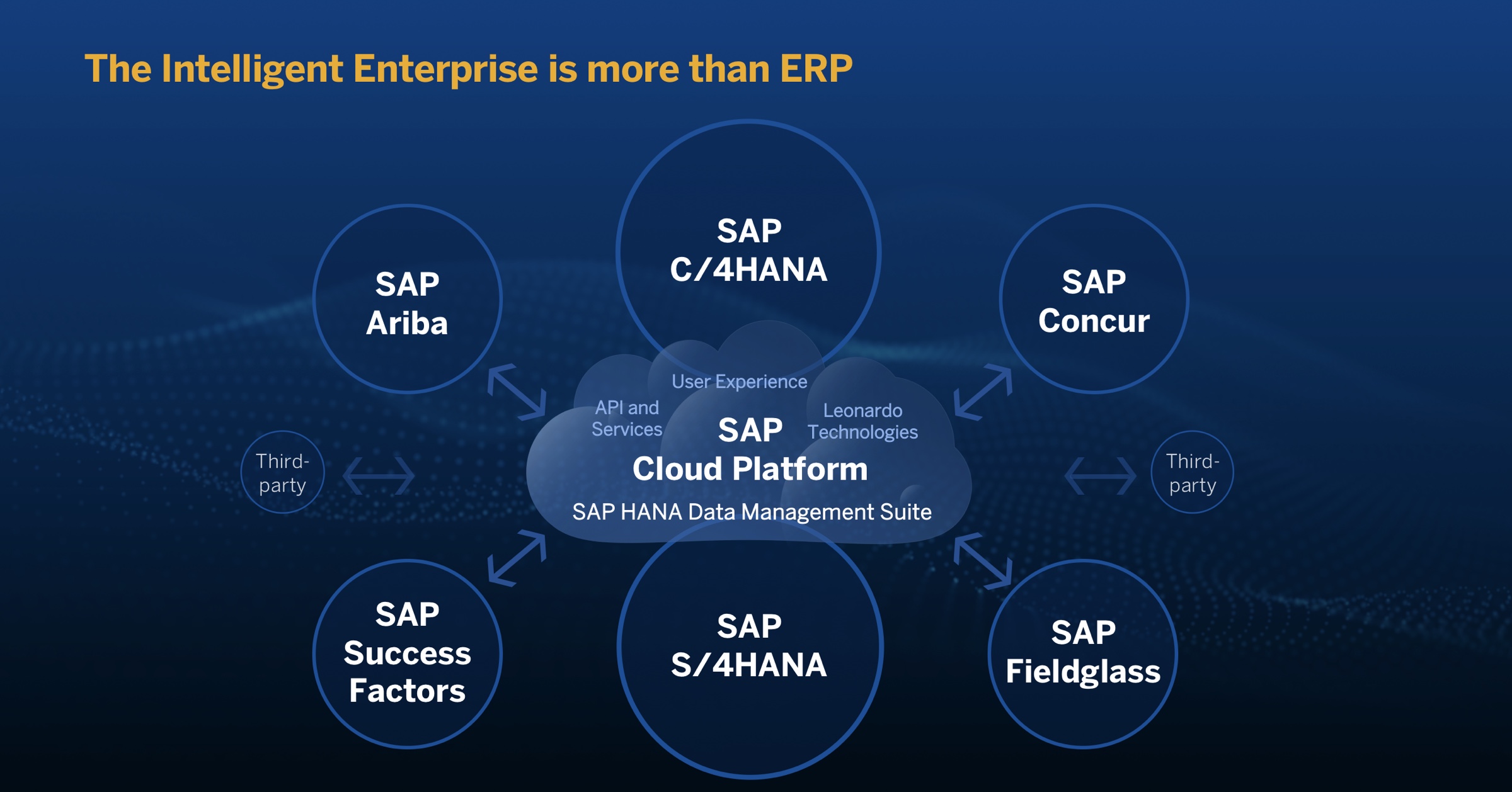 Afbeelding van SAP BI Platform tools.