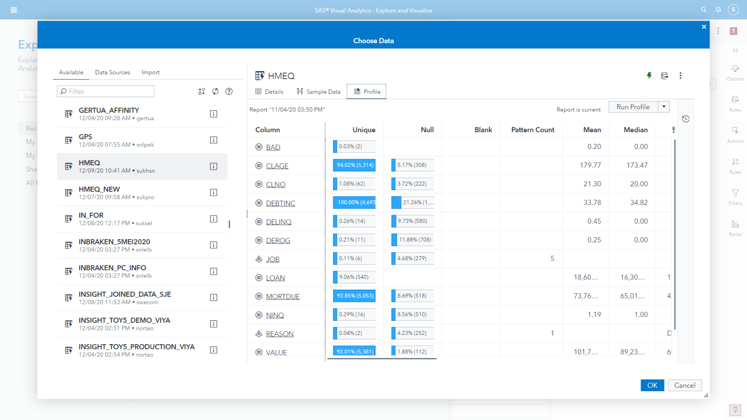 Screenshot van SAS Data Explorer software.