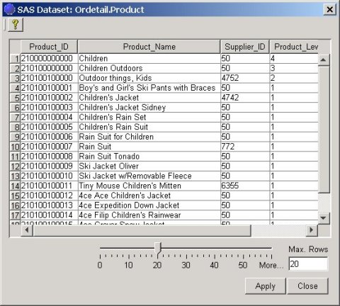 Afbeelding van SAS Data Surveyor SAP tools.