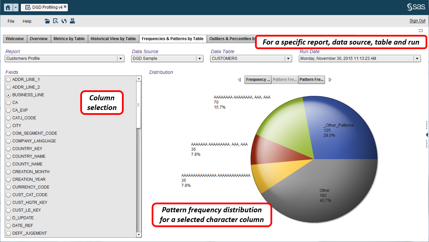 Afbeelding van SAS Data Quality tools.