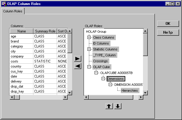 Afbeelding van SAS OLAP Server tools.