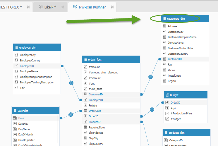 Schema van Elasticube.