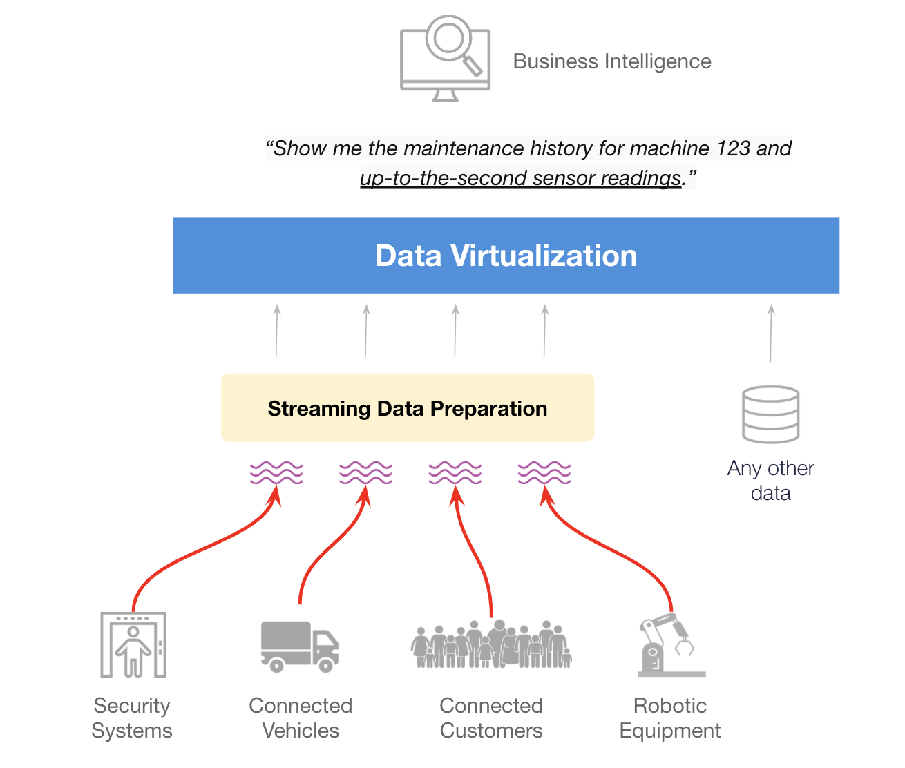 Schema van TIBCO Data Virtualization.